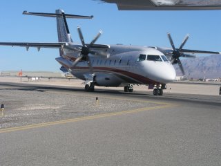 Line Up with Big Birds